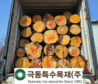 Fukuoka산 히노끼 통 원목 …