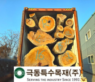 호주산 캄포 통 원목 2CN 입고…