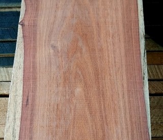 그라나딜로(멕시코장미목)